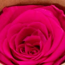Artikel Konservierte Rosenköpfe Rosa 6er-Set – Langhaltige Blumendeko für stilvolle Arrangements