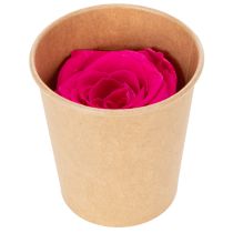 Artikel Konservierte Rosenköpfe Rosa 6er-Set – Langhaltige Blumendeko für stilvolle Arrangements