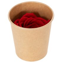 Artikel Set aus 6 roten konservierten Rosen 5 cm langlebige Dekoration für Hochzeit und Wohnraum