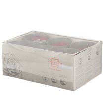 Artikel Rote Infinity Rosenköpfe 6 St. - Echte Blumen für dauerhafte Schönheit