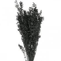 Artikel Ruscus Zweige Dekozweige Trockenblumen Schwarz 200g