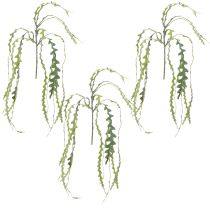 Artikel Sägeblattkaktus Künstlich Epiphyllum anguliger 68cm 3er-Set Dekoration