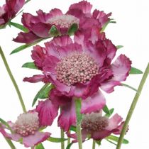 Artikel Skabiose Kunstblume Pink Sommerblume H64cm Bund à 3St