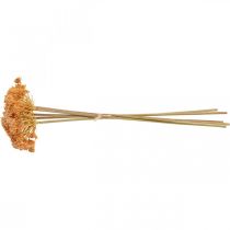 Artikel Schafgarbe Künstlich Kunstblumen Orange 50cm 5St im Bund