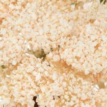 Artikel Schafgarbe künstlich creme 30cm 6 Stiele für Dekoration