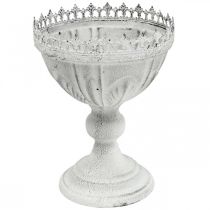Artikel Pokal Schale Metall Weiß mit verziertem Rand Ø15,5cm