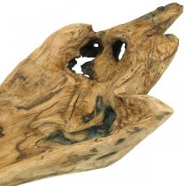 Dekoschale Paulownia Holz, Blumentablett, Holzgefäß L58cm H7–8cm