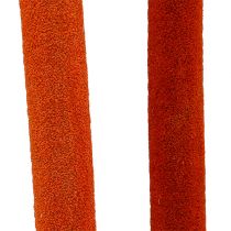 Schilfkolben Mix Orange 100St