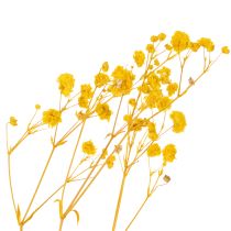 Artikel Trockenblumen Schleierkraut Strauß 70cm Tischdekoration Innenbereich