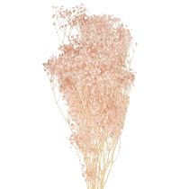 Artikel Schleierkraut Deko Orange Trockengräser Peach 65-70cm 100g - Natürliche Eleganz für Floristen