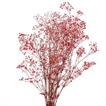 Artikel Gypsophila Trockenblumen Rot 50cm 55g für festliche Deko und Events