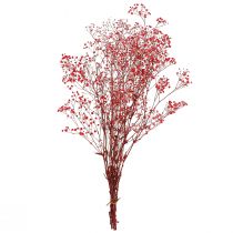 Artikel Gypsophila Trockenblumen Rot 50cm 55g für festliche Deko und Events