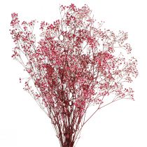 Artikel Schleierkraut Gipskraut Berry L50cm 55g - Zauberhafte Deko-Blumen