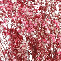 Artikel Schleierkraut Gipskraut Berry L50cm 55g - Zauberhafte Deko-Blumen