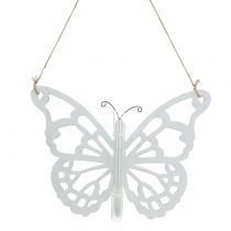 Schmetterling mit Reagenzglas zum Hängen 19x24cm 3St