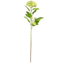 Artikel Schneeball Kunstblumen Viburnum künstlich Grün 61cm 4St für Floristen und Dekorateure