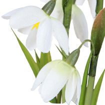 Artikel Schneeglöckchen Kunstblumen im Glas Frühlingsdeko Weiß 22,5cm 2St