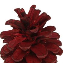 Artikel Schwarzkiefernzapfen Deko Bordeaux Rot 6-8cm Naturlook 6er-Set