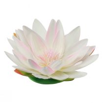 Artikel Schwimmende Seerosen künstlich Tischdeko Wasserdeko Weiß Rosa Ø15cm 2St