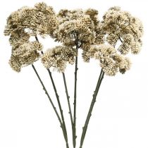 Artikel Sedum Kunstblume Fetthenne Creme Blumendeko Herbst 70cm 3St
