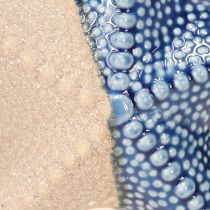 Artikel Seestern Porzellan Sand Blau Maritim Tischdeko Ø15cm 2St