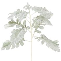 Artikel Künstlicher Senecio Zweig Silberblatt 45cm 3er-Set