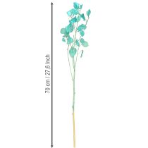 Artikel Silberblatt Mondviole Hellblau 65-70cm Trockenblumen Deko