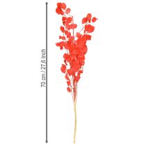 Artikel Silberblatt getrocknet Mondviole Lunaria Rot Trockenblumen Dekoration 65-70cm 20g
