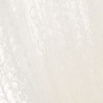 Artikel Trockenblumen Silbergras 70cm Natürliche Dekoration für Innenräume