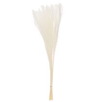 Artikel Trockenblumen Silbergras 70cm Natürliche Dekoration für Innenräume