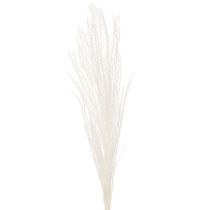 Artikel Trockenblumen Silbergras 70cm Natürliche Dekoration für Innenräume