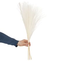 Artikel Trockenblumen Silbergras 70cm Natürliche Dekoration für Innenräume