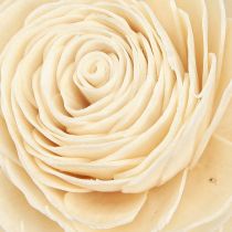 Artikel Sola Blumen Deko Holzblumen Creme 6-11cm 12-15 Stk