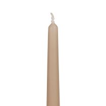 Spitzkerzen Stabkerzen Wenzel Kerzen Beige 250/23mm 12St