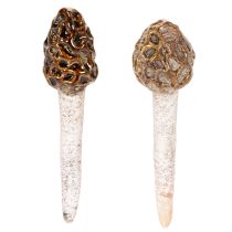 Artikel Künstlicher Morchel-Pilz Stecker Keramik 13cm Braun 2 Stück
