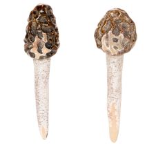 Artikel Künstlicher Morchel-Pilz Stecker Keramik 13cm Braun 2 Stück