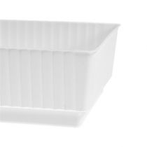 Steckschale Lara 15cm x 8cm x 4cm 10St