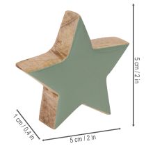Artikel Holzstern-Set 5 cm, 9 Stück, Mintgrün und Weiß, Dekoration