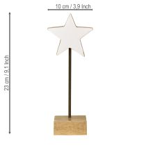 Artikel Sterne aus Holz Weiß Holzsterne Mangoholz Deko 23cm 2 St zum Hinstellen kaufen