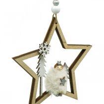 Weihnachtsdeko Stern Holz Dekohänger Ø13,5cm 4St