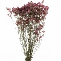 Artikel Statice, Strandflieder, Trockenblume, Wildblumen-Bund Pink L52cm 23g