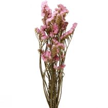 Strandflieder Rosa Limonium Trockenblumen 60cm 50g