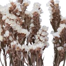 Artikel Strandflieder Weiß Limonium Trockenblumen 60cm 35g