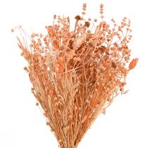 Artikel Strauß Trockenblumen Orange Apricot, Naturdeko Trockenstrauß 45cm 80g