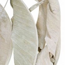 Strelitzienblätter Weiß gewaschen Getrocknet 45-80cm 10St