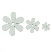 Artikel Streudeko Holz Tischdeko Weiß Blumen Ø2cm–6cm 20 St