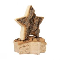 Artikel Streudeko Weihnachten Sterne Holzsterne mit Rinde Ø5cm 12St