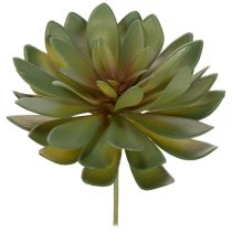 Artikel Künstliche Sukkulente grün 18cm 3er-Set aus Kunststoff für Innenräume