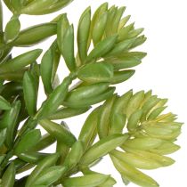 Artikel Sukkulente Kunststoff-Kunstblume 15 cm für Innenraumgestaltung 6er-Set