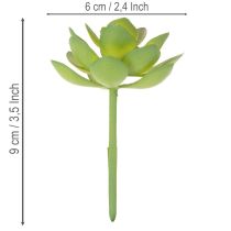 Artikel Kunstpflanze Sukkulente Grün, Kunststoff, Höhe 9 cm, Innenraumdekoration